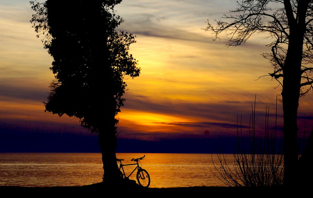 Fahrrad am See - aber nicht mein Centurion Cross Line 600