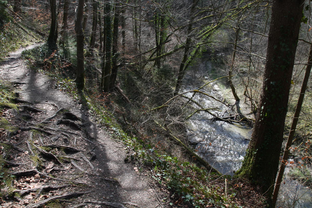 Wanderweg durch den Aachtobel