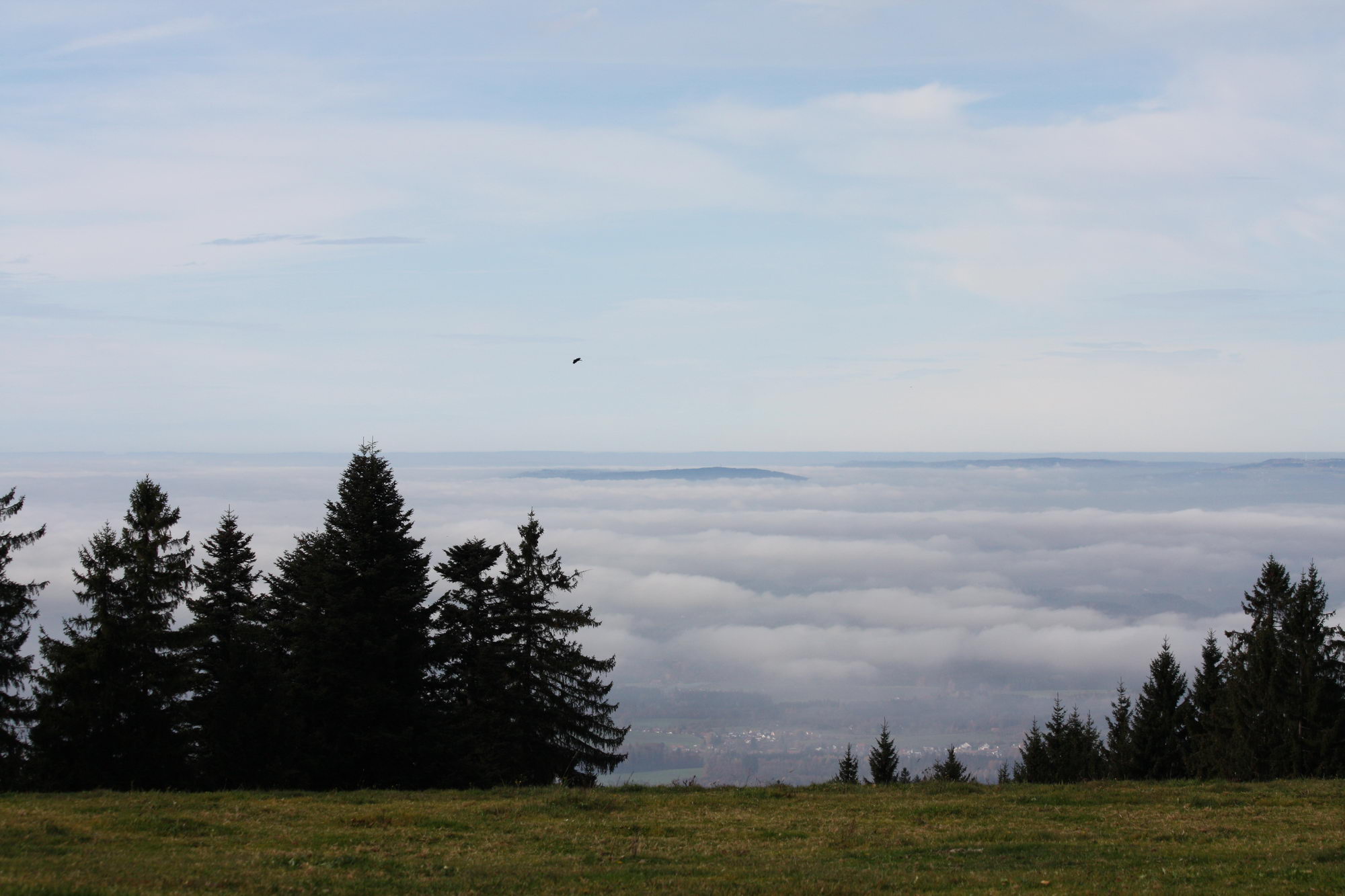 Der Blick vom Hochberg ins Tal