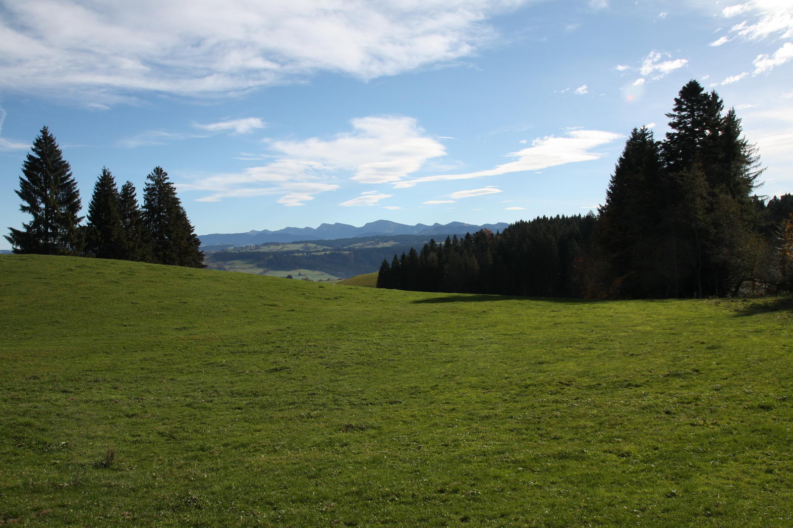 Auf dem Weg in Richtung Skywalk Allgäu - Blick zum Hochgrat