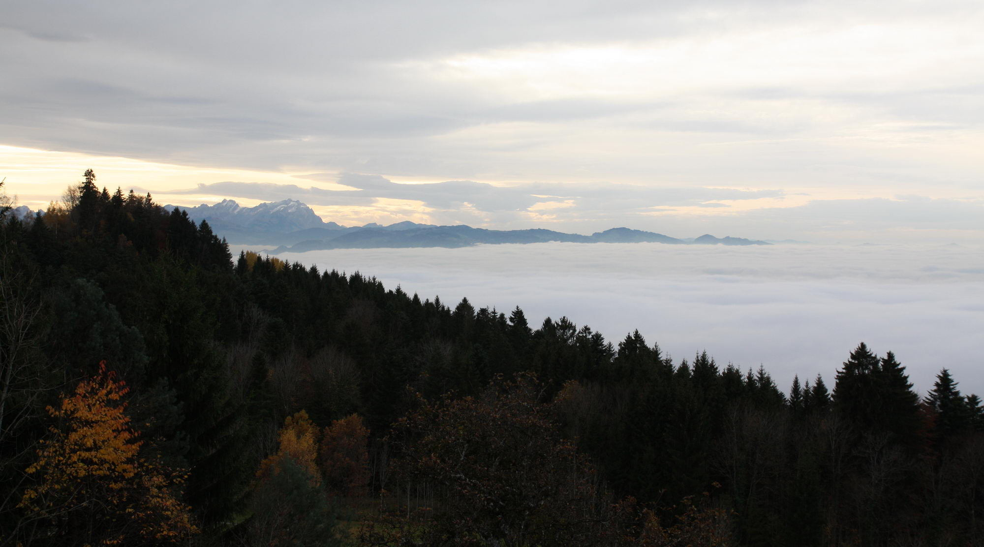 Vernebelter Bodensee vom Hochberg aus gesehen.