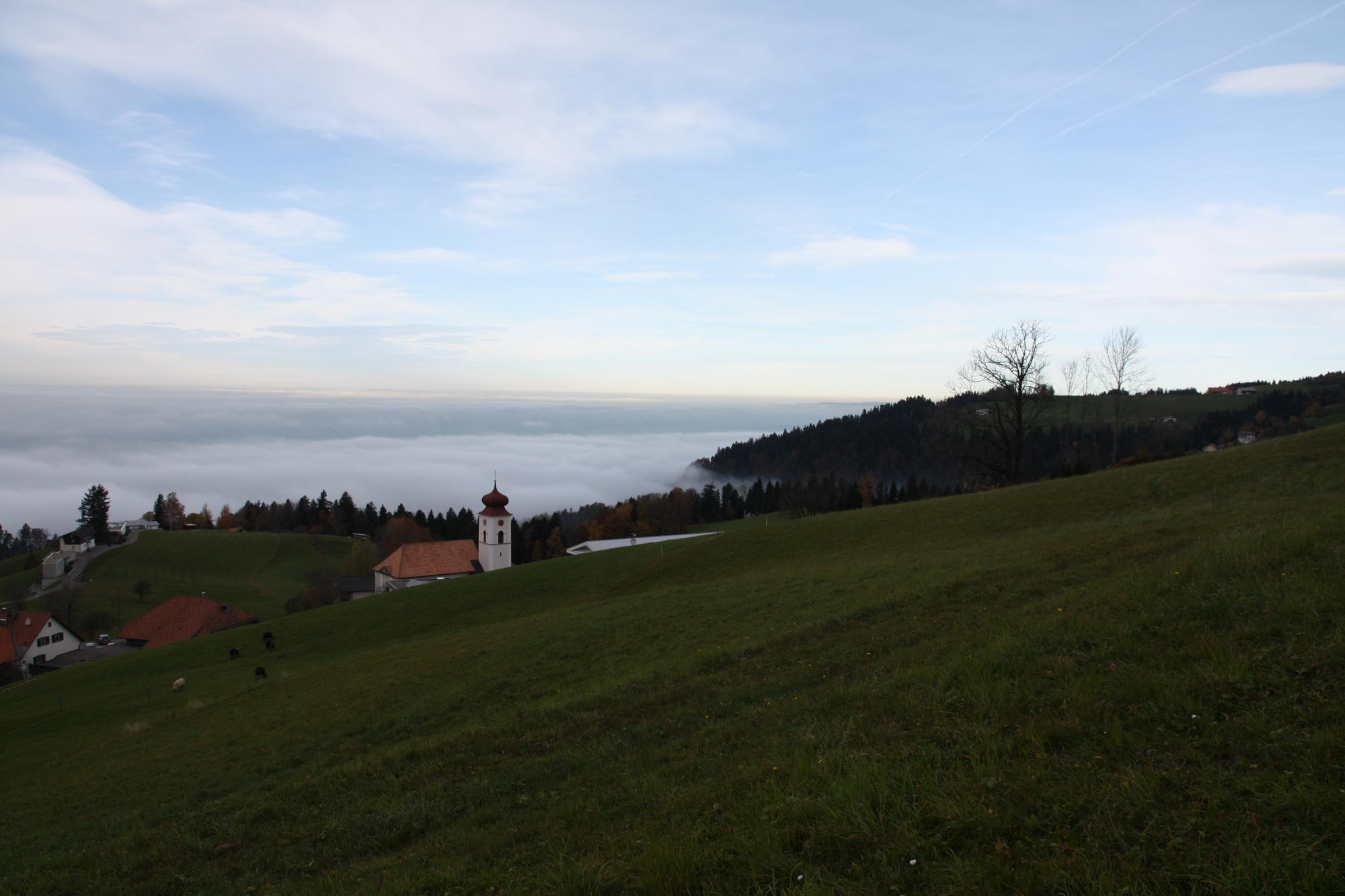 Eichenberg - der Wanderweg kommt oberhalb des Orts aus dem Wald und bietet ein wunderbares Panorama