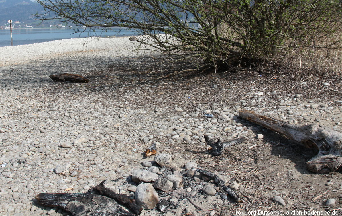 Eine Feuerstelle im Naturschutzgebiet. Ein Meter weiter rechts beginnt das Schilfgebiet, welches trocken wie Stroh ist. Wer genau hinsieht, findet auch die Dose.