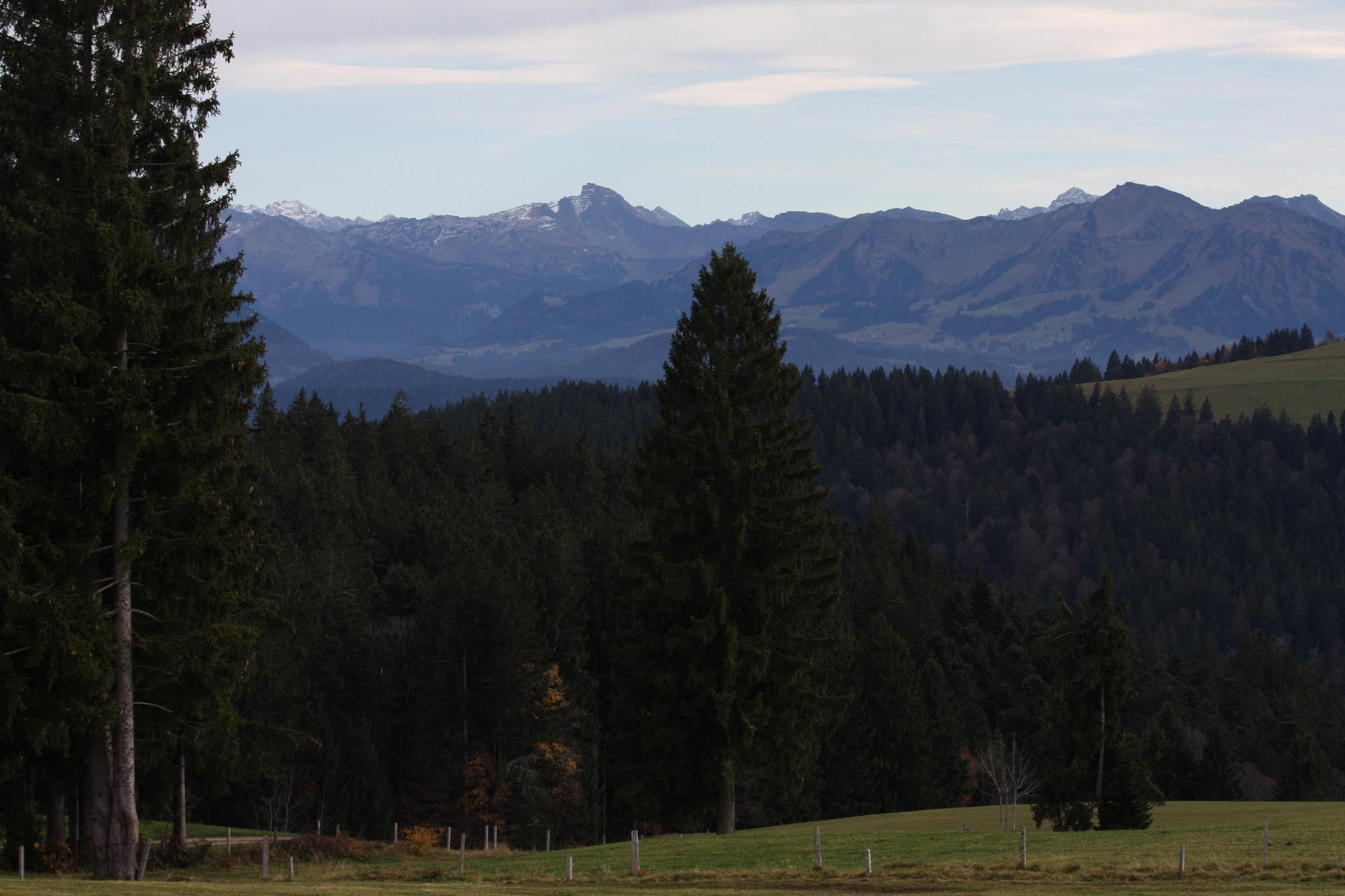 Blick über die Wiesen am Hochberg