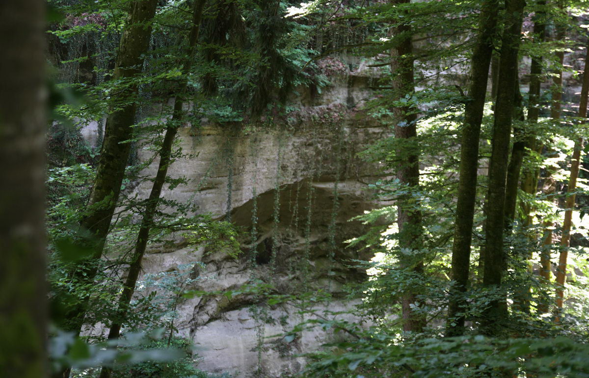 Steile, massive Felswände auf der einen Seite des Hödinger Tobels