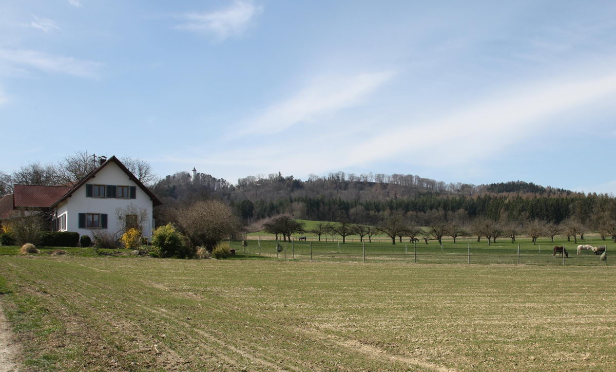 Lippertsreute-Steinhöfe mit Blick Richtung Mehlsack