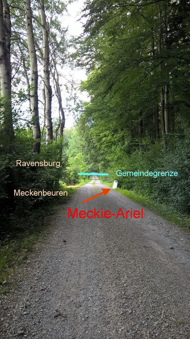 Der Meckie-Ariel-Weg in der Wildnis des Bodensee-Hinterlands. Eingetragen die Gemeindegrenze zwischen Ravensburg und Meckenbeuren. Wegen fehlender ca. 100m hat Ravensburg den Kampf um Meckie-Ariel nur knapp verloren.