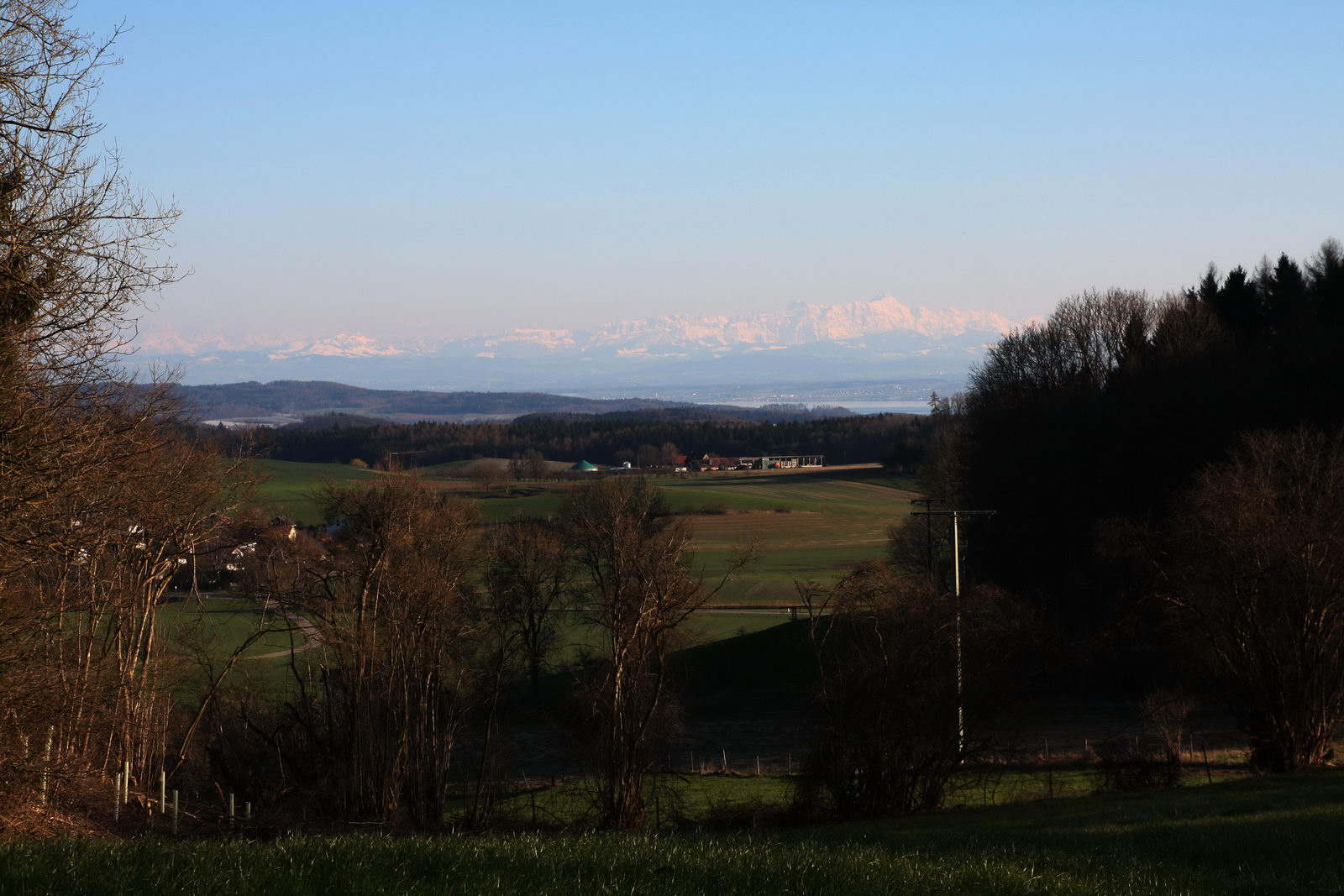 Blick auf den Bodensee und Säntis unterhalb von Hohenbodman