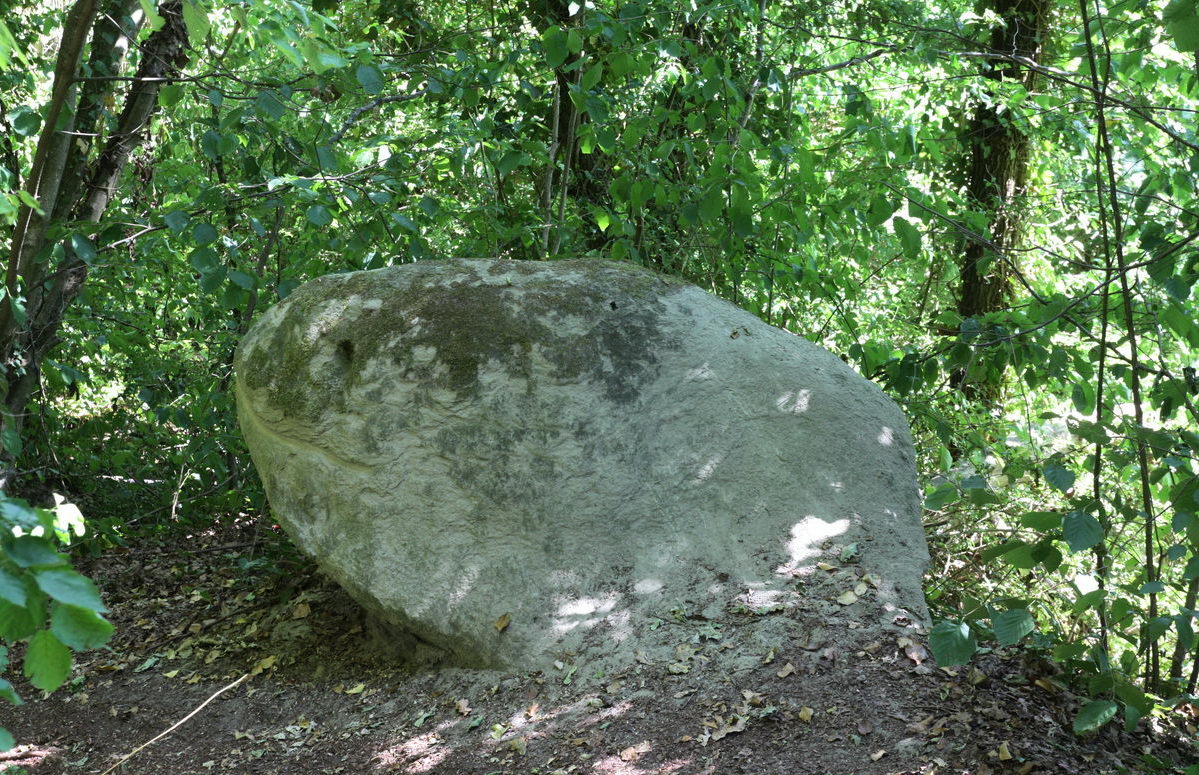 Direkt am Weg vom Katharinenfelsen(?) weg, gibt es diesen witzigen Kopf am Wegesrand zu belächeln.